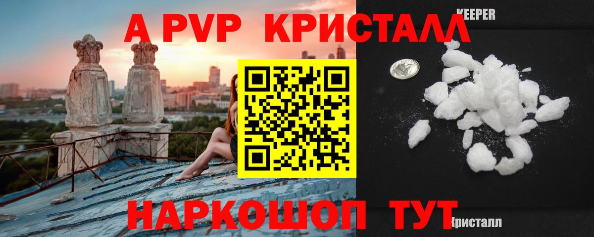 Alfa_PVP СК КРИС Камышин