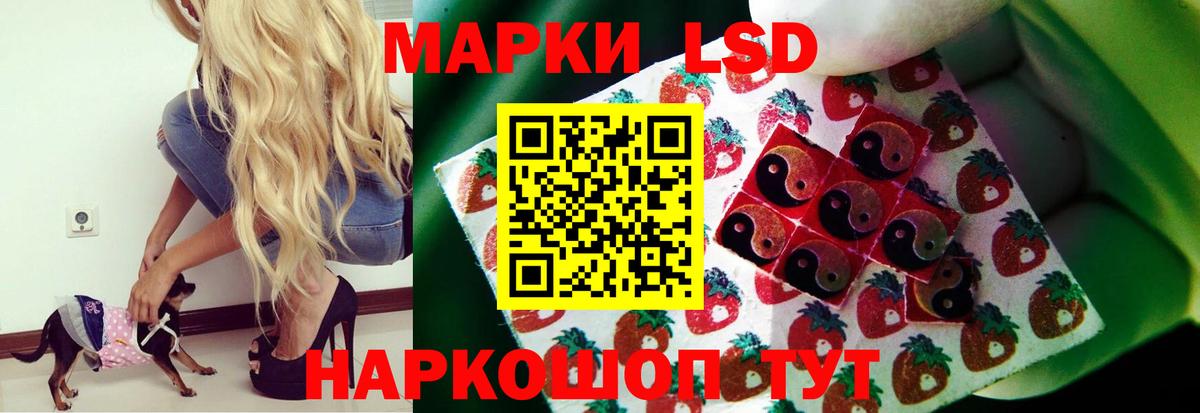 LSD-25 экстази кислота  Вход с VPN  LSD-25 экстази  LSD-25 экстази кислота  Камышин 