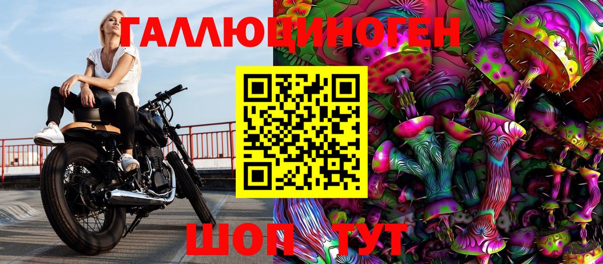 Камышин  купить наркотик  Вход с VPN  Галлюциногенные грибы Psilocybe 