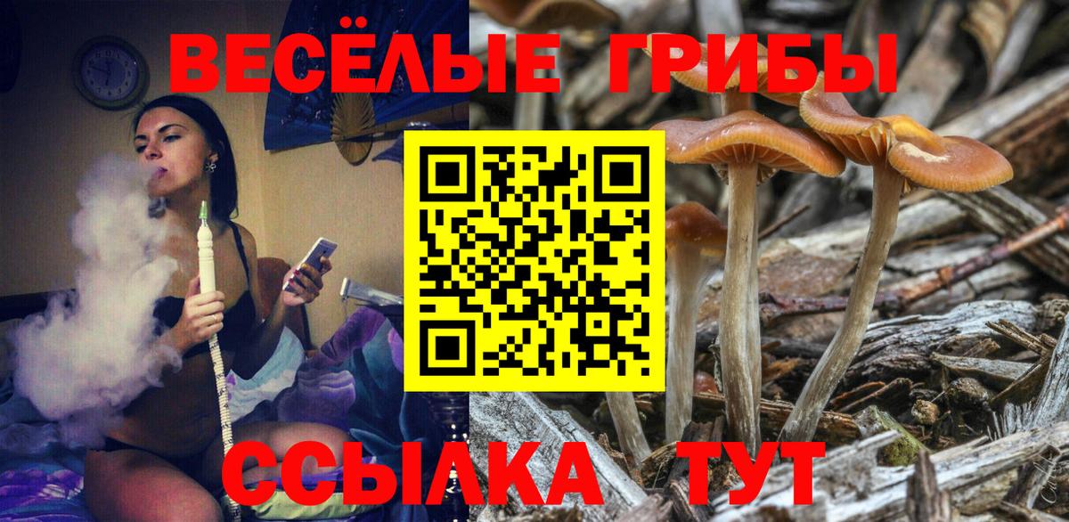 Псилоцибиновые грибы мицелий Камышин