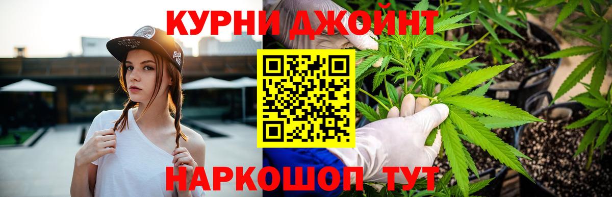 Камышин  Конопля марихуана  Шишки марихуана сатива  Конопля Amnesia  Вход с VPN 